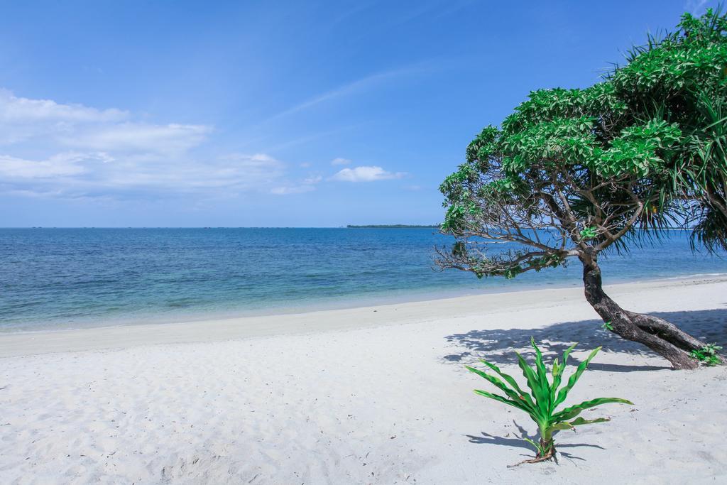 Trikora Beach Club And Resort 特鲁克巴库 外观 照片